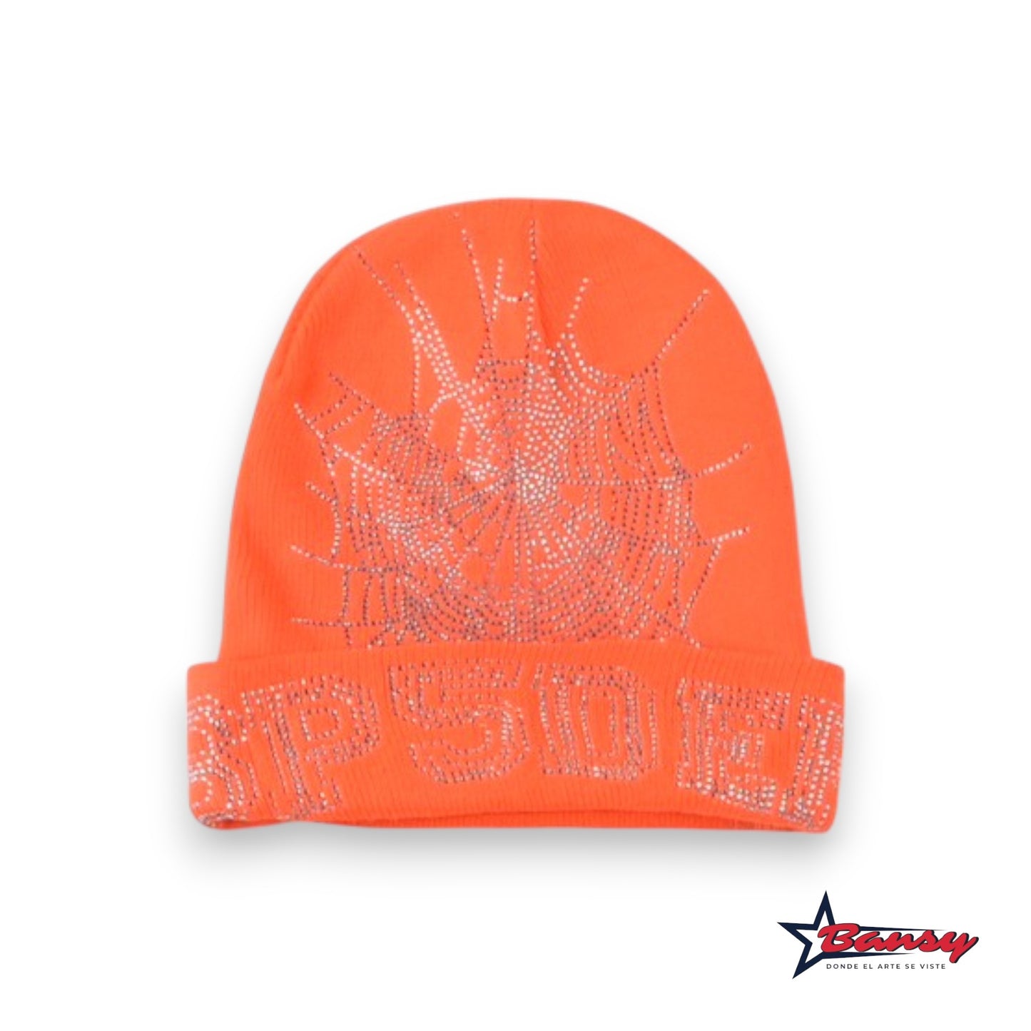 Beanie Spider Worldwide