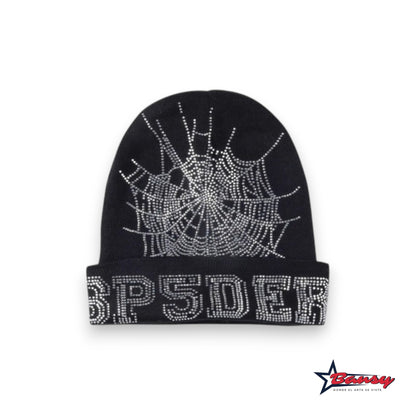 Beanie Spider Worldwide