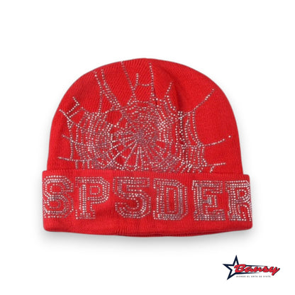 Beanie Spider Worldwide